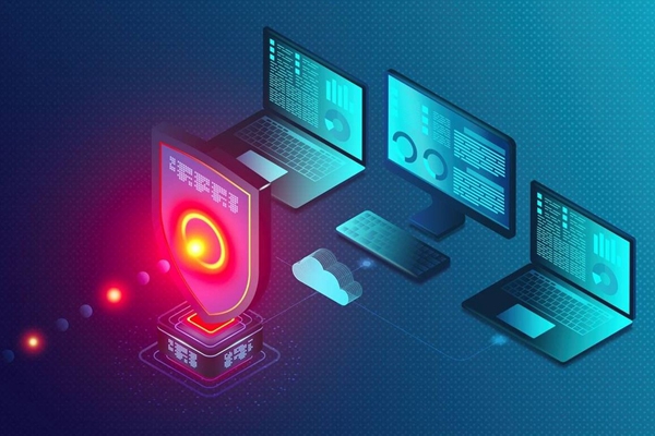 核桃编程官网 www.hetao101.com